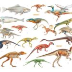 morfologi hewan vertebrata